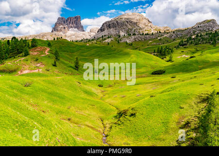 Blick auf den Mount Averau in Nuvolau Gruppe mit der hügeligen von gelben Blumen aus dem Falzarego Pass in Cortina d'Ampezzo in Italien Stockfoto