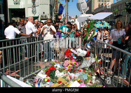 Medien und Fans konvergieren auf dem Hollywood Walk of Fame, um ihren Respekt zu Michael Jackson zu zahlen an der make-shift Schrein auf seinen Stern vor dem Grauman's Chinese Theater in Hollywood, CA, 27. Juni 2009 erstellt. © Joseph Martinez/Picturelux - Alle Rechte vorbehalten File Reference # 30035 018 PLX nur für redaktionelle Verwendung - Alle Rechte vorbehalten Stockfoto