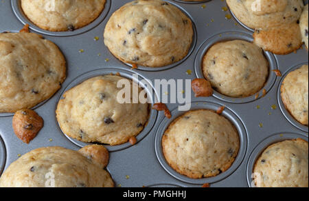 Mehrere frisch gebackenem warmen mundgerechte Chocolate Chip Muffins in einem Mini muffin Backform. Stockfoto