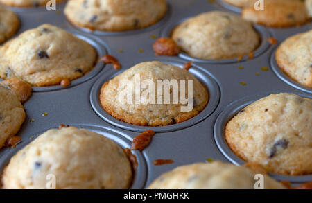 Warme frisch gebackenem warmen mundgerechte Chocolate Chip Muffins in einem Mini muffin Backform. Stockfoto