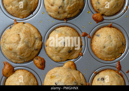 Top Ansicht schließen von mehreren warmen mundgerechte Chocolate Chip Muffins in einem Mini muffin Backform. Stockfoto