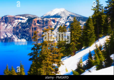 Bäume am Nachmittag von der Sonne verwöhnten entlang der südöstlichen Ende der Crater Lake. Snowy Rand des Vulkans spiegeln sich in den tiefblauen Gewässern unter blauem Himmel Stockfoto