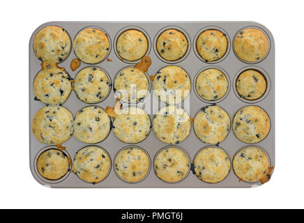 Blick von oben auf die frisch gebackene Mundgerechte blueberry muffins in einem Mini muffin Backform auf einem weißen Hintergrund. Stockfoto