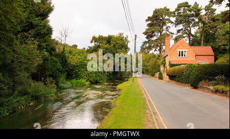 Der Bach fließt durch Thornton-le-Dale North Yorkshire Stockfoto