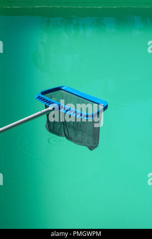 Schwimmbad Wartung - ein pool Skimmer net wartet oben einen grünen bewölkt Pool Stockfoto