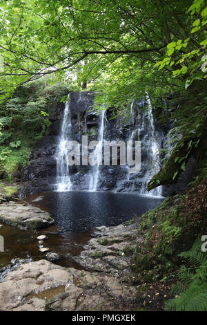 Wasserfall in Glenariff Forest Park, County Antrim, Nordirland, Großbritannien Stockfoto