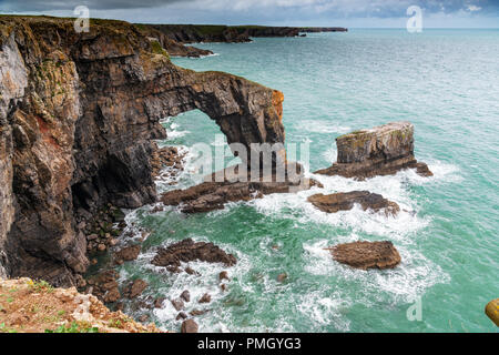 Grüne Brücke im Stack Rocks, Pembrokeshire, Wales, UK. Stockfoto