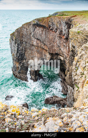 Küste bei Stack Rocks, Pembrokeshire. Wales. Stockfoto
