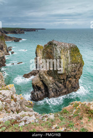 Küste bei Stack Rocks, Pembrokeshire. Wales. Stockfoto