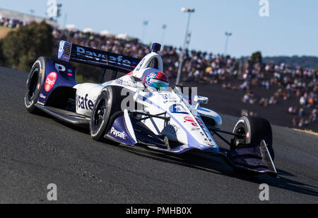 Sonoma, Ca, USA. 16 Sep, 2018. A: Dale Coyne Racing Fahrer Pietro Fittipaldi (19) aus Kanada von Frankreich aus Turn 2 Während der GoPro Grand Prix von Sonoma Verizon Indycar Meisterschaft an der Sonoma Raceway Sonoma, Ca Thurman James/CSM/Alamy leben Nachrichten Stockfoto