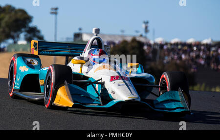 Sonoma, Ca, USA. 16 Sep, 2018. A: Harding Rennfahrer Gabby Chaves (88) von Kolumbien aus 5 Während der GoPro Grand Prix von Sonoma Verizon Indycar kommen an der Sonoma Raceway Sonoma, Ca Thurman James/CSM/Alamy leben Nachrichten Stockfoto