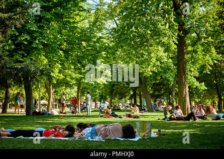 Gruppe von Menschen mit einem sozialen Jahr in den Park hinunter, die auf dem Gras Stockfoto