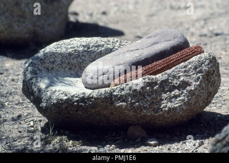 Salado People's metate y Mano (Schleifen der Steine für Mais), Tonto National Monument, Arizona. Foto Stockfoto