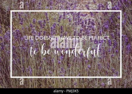 Das Leben muss nicht perfekt sein wunderbares Angebot auf Lavendelblüten werden Stockfoto