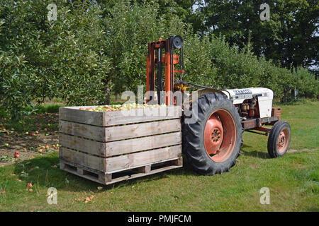 David Brown 885 Traktor Stockfoto