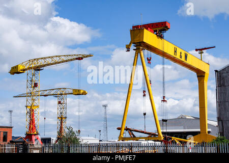 Eine der berühmten gelben Harland und Wolff Krane auf der Werft in der Titanic Quarter von Belfast, Nordirland Stockfoto