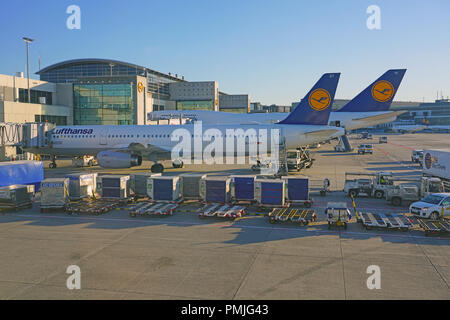 Lufthansa (LH) Flugzeuge sind auf der Frankfurter Flughafen (FRA), der verkehrsreichste Flughafen in Deutschland und eine wichtige Drehscheibe für die deutsche Fluggesellschaft gesäumt. Stockfoto