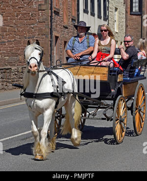 Gypsy Reisenden Reiten am Wagen. Appleby Horse Fair 2018. Das Sands, Appleby-in-Westmorland, Cumbria, England, Vereinigtes Königreich, Europa. Stockfoto