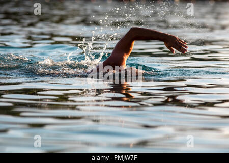 Schwimmer mit der Hand über der Wasseroberfläche Stockfoto