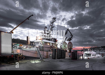 Crosshaven, Cork, Irland. 13. Juli 2018. Besatzungsmitglieder der Trawler Buddy M Offloading es Fang von Wittling als Morgendämmerung bricht über die Pier in Cros Stockfoto