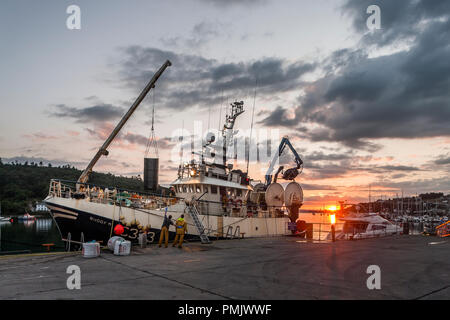 Crosshaven, Cork, Irland. 13. Juli 2018. Besatzungsmitglieder der Trawler Buddy M Offloading es Fang von Wittling als Morgendämmerung bricht über die Pier in Cros Stockfoto