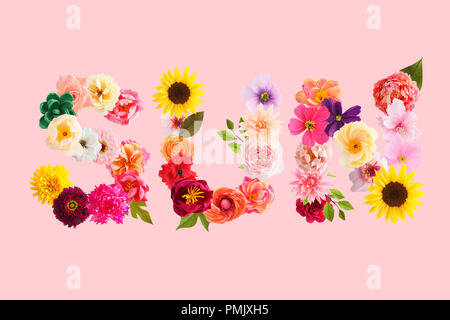 Wort Sonne aus krepp papier Blumen auf rosa Hintergrund isoliert Stockfoto