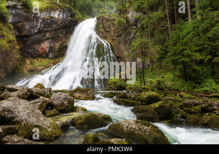 Schöne Aussicht von berühmten Gollinger Wasserfall mit bemoosten Felsen und grüne Bäume auf einem Moody im Frühling, Golling, Salzburger Land, Österreich Stockfoto