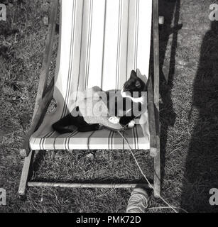 1960, Sommer und ein kleines Kätzchen entspannt im Liegestuhl außerhalb mit einem Stück Stricken auf seinem Schoß, England, UK. Stockfoto