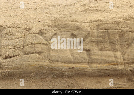 Natur Hintergrund, Textur einer sandsteinmauer Graffiti Hieroglyphen geschnitzten unkenntlich Wand am Grandview Strand in Kalifornien Encintas Stockfoto