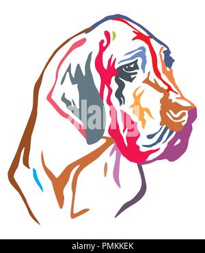 Bunt dekorativ Portrait von dog Dogge, Vector Illustration in verschiedenen Farben auf weißem Hintergrund Stock Vektor