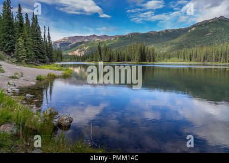 Denali Park Horseshoe Lake Trail Stockfoto