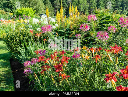 Mehrjährig Blumen Bett mit roten Taglilien im Vordergrund. Stockfoto