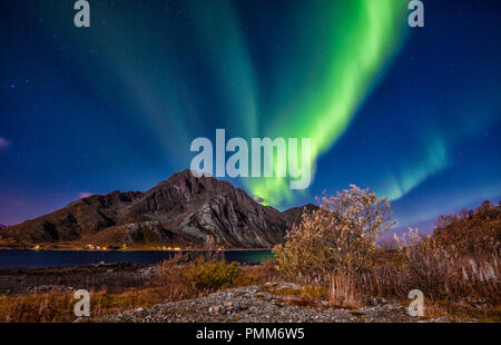 Aurora borealis über Mt. Store Nappstind, Lofoten, Nordland, Norwegen Stockfoto