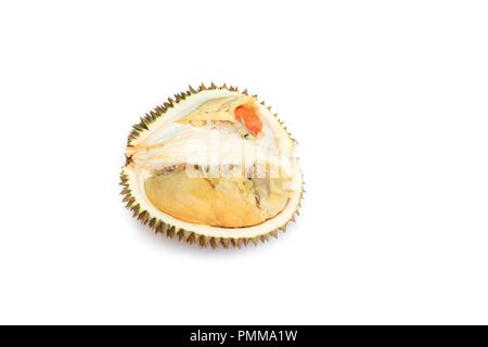 Frische durian reife, gelbe Fleisch tropische Früchte auf weißem Hintergrund Stockfoto