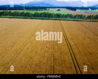 Antenne Phography von Hokkaido, Japan Stockfoto