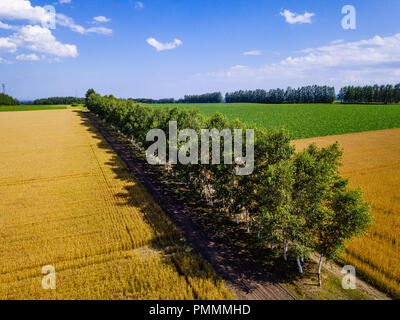 Antenne Phography von Hokkaido, Japan Stockfoto