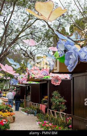 Farbenfrohe Blumen und Blüten auf dem Display und zum Verkauf auf der Straße Blumenmarkt in Funchal, Madeira. Frühling. Stockfoto