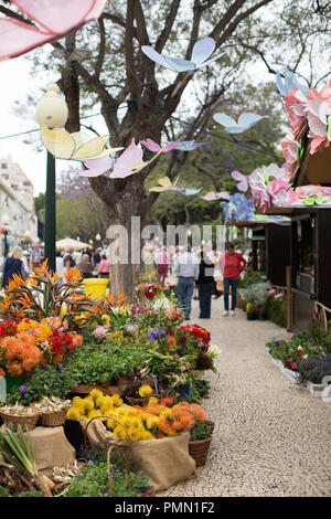 Farbenfrohe Blumen und Blüten auf dem Display und zum Verkauf auf der Straße Blumenmarkt in Funchal, Madeira. Frühling. Stockfoto