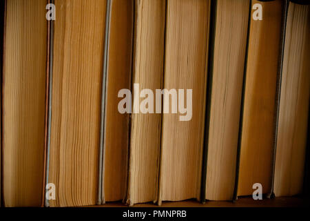 Der Bücher Hintergrund Stack. Viele Bücher stapeln. Alte antike Bücher Hintergrund. Antike Manuskripte. Buch Hintergrund. Vintage Books in einer Reihe. selektive Fokus Stockfoto