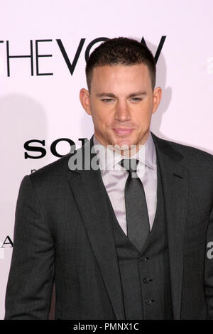 Channing Tatum bei der Weltpremiere von Screen Gems & Spyglass Entertainment's "Das Gelübde". Ankünfte an der Grauman Chinese Theatre in Hollywood, CA, 6. Februar 2012 statt. Foto: Richard Chavez/Picturelux Stockfoto