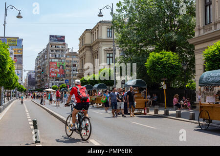 Bucuresti, Rumänien Juli 02, 2018: Die fussgänger Calea Victoriei Straße in der Innenstadt von Bukarest, Rumänien. Stockfoto