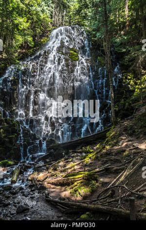 Ramona Falls entlang des Pacific Crest Trail, Oregon Stockfoto