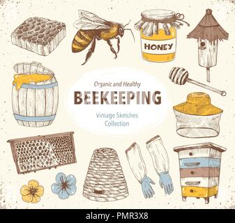 Beekeping Skizzen Sammlung Stock Vektor