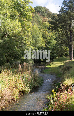 Der Fluss Gaunless durch Auckland Park, Bishop Auckland, Co Durham, England, Großbritannien Stockfoto