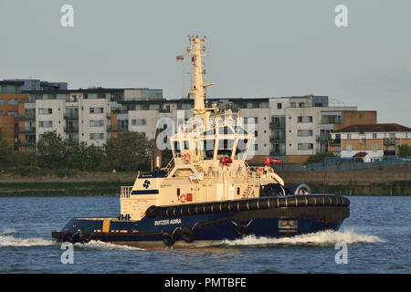 Svitzer Schlepper auf der Themse in London. Stockfoto