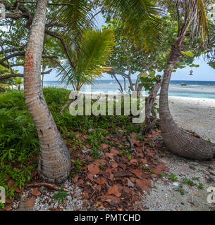 Küste und Strand auf der Insel Roatan in Bay Islands Honduras Stockfoto