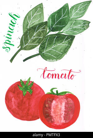 Aquarell von gesunden Spinatblätter und einem saftigen Tomaten Stockfoto