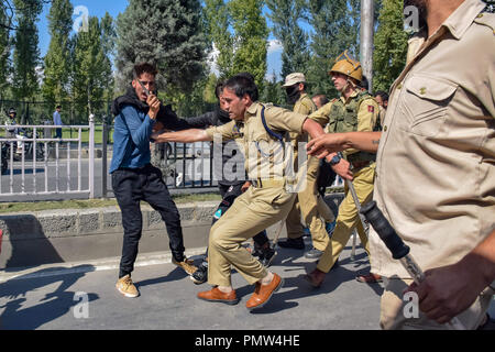 September 19, 2018 - Srinagar, Jammu und Kaschmir, Indien - Polizisten gesehen die Ingewahrsamnahme einer Schiitischen für die Teilnahme an einem religiösen Prozession. Polizei in indischen verwalteten Kaschmir verhängt eine Ausgangssperre und andere Beschränkungen in Srinagar, schiitische Muslime von der Teilnahme an Muharram Prozession zu verhindern. Muharram ist ein Monat, der die Trauer in Erinnerung an das Martyrium des Imam Hussain, der Enkel des Propheten Mohammed. Kredit Idrees: Abbas/SOPA Images/ZUMA Draht/Alamy leben Nachrichten Stockfoto