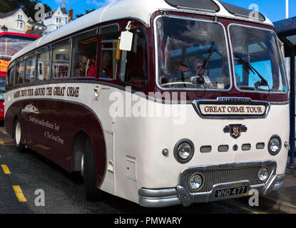 Leyland Tiger Cub Bus für Ausflüge benutzt runde Llandudno North Wales. Am Terminus warten auf Passagiere in Llandudno am Meer. Stockfoto