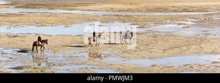 Blick auf drei Reiter ihren Weg finden am Strand an einem schönen Tag. Pools von Wasser und schönen Mustern und Strukturen in den Sand und Wind Stockfoto